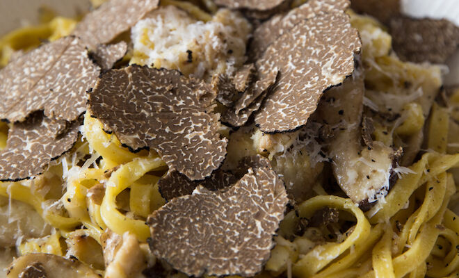 truffle hunting in Tuscany: pasta with truffles